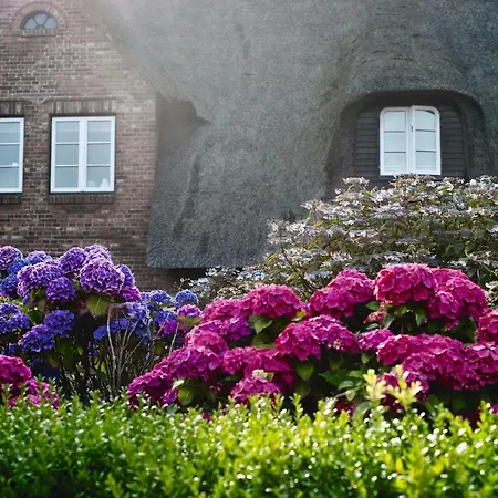 Appartementhaus Lueuevhoog 4*