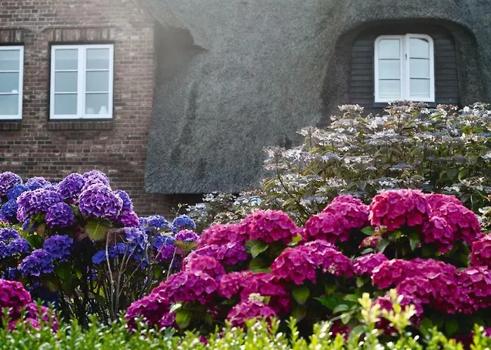 Appartementhaus Lüüvhoog 4*